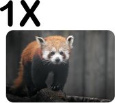 BWK Flexibele Placemat - Rode Panda - Dier - Bos - Boomstam - Set van 1 Placemats - 45x30 cm - PVC Doek - Afneembaar