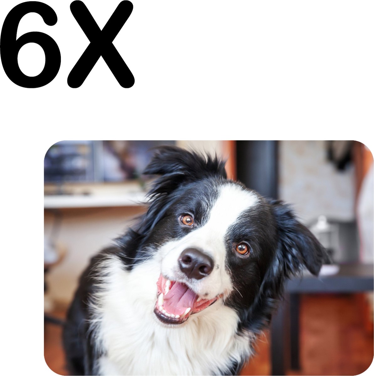 BWK Stevige Placemat - Vrolijke Bordecollie - Hond - Set van 6 Placemats - 40x30 cm - 1 mm dik Polystyreen - Afneembaar