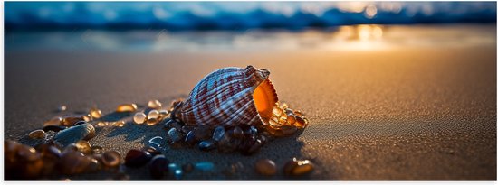 Poster Glanzend – Schelp - Strand - Zand - Steentjes - Zonsondergang - 60x20 cm Foto op Posterpapier met Glanzende Afwerking