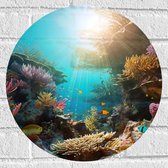 Muursticker Cirkel - Onderwater - Oceaan - Zee - Koraal - Vissen - Kleuren - Zon - 40x40 cm Foto op Muursticker