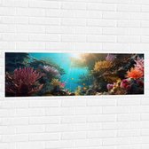 Muursticker - Onderwater - Oceaan - Zee - Koraal - Vissen - Kleuren - Zon - 120x40 cm Foto op Muursticker