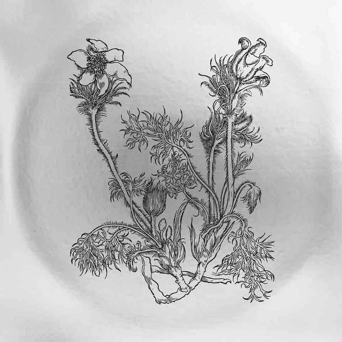 Cheval De Frise - Fresques Sur Les Parois Secrètes Du Crâne (LP) (Coloured Vinyl)