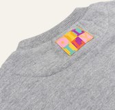 Heritage sweater 99 Solid with artwork Animalily Pile Grey: 122/7yr