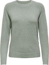 ONLY ONLRICA LIFE L/S PULLOVER KNT NOOS Dames Trui - Maat L