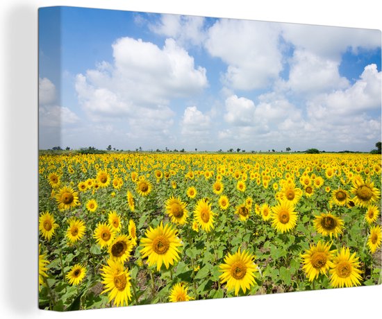 Canvas Schilderij Zonnebloemen - Bloemen - Wolken - Natuur - Geel - Landschap - 30x20 cm - Wanddecoratie