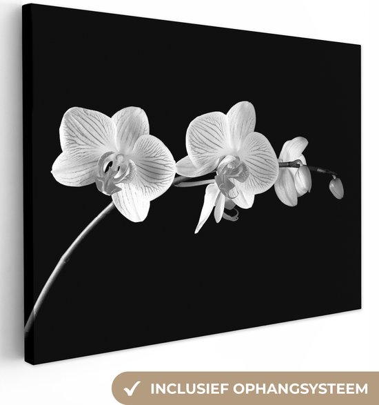 Canvas Schilderij Orchidee - Bloemen - Zwart - Roze - Knoppen - 120x90 cm - Wanddecoratie