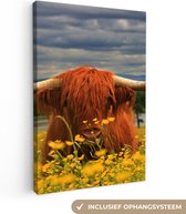 Tableau sur toile Scottish Highlander - Animaux - Fleurs - 40x60 cm - Décoration murale