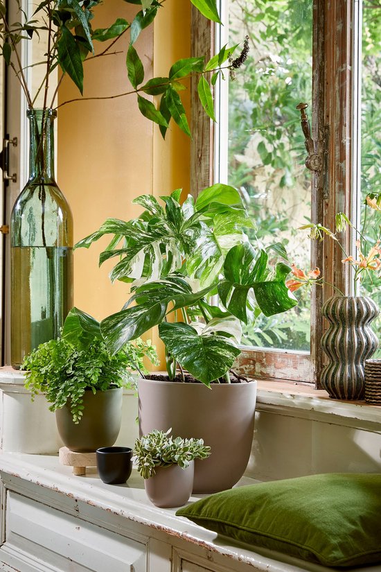 Mica Decorations bouteille verre rioja dimensions en cm: 100 x 21 vert gris