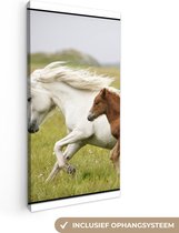 Canvas Schilderij Paarden - Dieren - Gras - 40x80 cm - Wanddecoratie