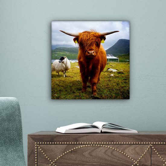 Tableau sur toile Scottish Highlander - Léger - Mouton - 20x20 cm - Décoration murale