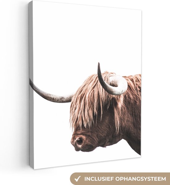 Koe - Schotse hooglander - Dieren - Canvas - 60x80 cm - Wanddecoratie