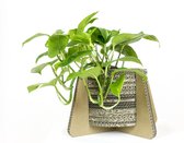 Kartonnen bloempot en plantenpot - Plantenpot met Pootjes - Madelief - Set van 3 plantenpotten - 42x42x23 cm - Plantenpot voor binnen - KarTent