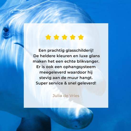 Peinture sur Verre - Dauphin - Water - Mer - 30x20 cm - Peintures sur Verre Peintures - Photo sur Glas