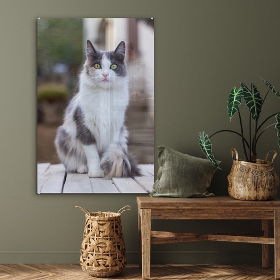 MuchoWow® Peinture sur verre - Chat - Portrait - Tableau - Filles - Enfants - Garçons - Kids - 80x120 cm - Peintures sur verre acrylique - Photo sur Glas