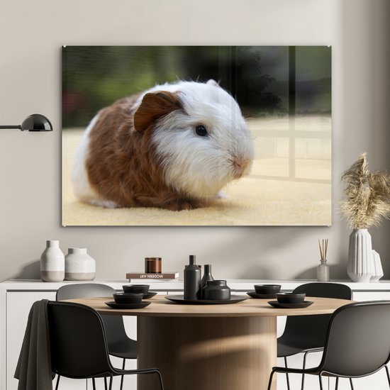 Peinture sur Verre - Jeune Cochon d'Inde - 90x60 cm - Peintures sur Verre Peintures - Photo sur Glas