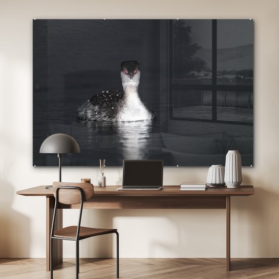 ® Glasschilderij 180x120 cm - Schilderij acrylglas - Een zwart-wit afbeelding van een Kuifduiker - Foto op glas - Muurdecoratie woonkamer - Wanddecoratie slaapkamer - Schilderijen