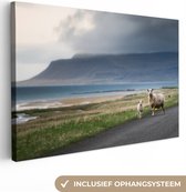 Canvas Schilderij Schaap - Lam - Storm - 90x60 cm - Wanddecoratie