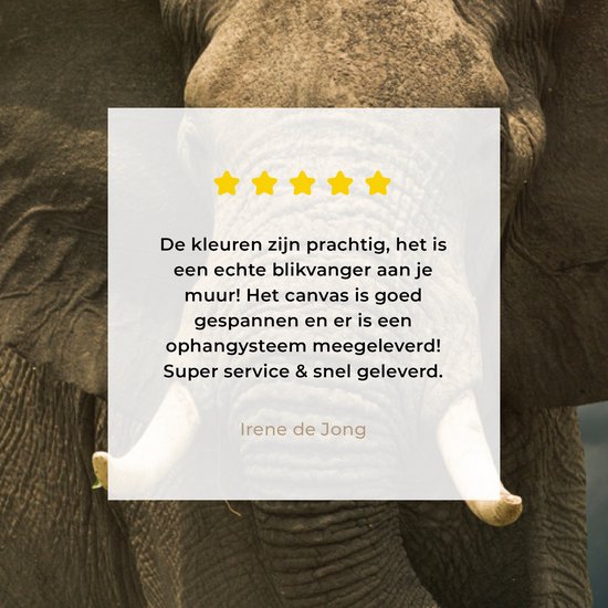 Peintures sur toile - Éléphant d'Afrique contre les nuages sombres - 150x100 cm - Décoration murale