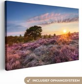 Bruyère fleurie au coucher du soleil aux Nederland toile 2cm 120x80 cm - Tirage photo sur toile (Décoration murale salon / chambre)