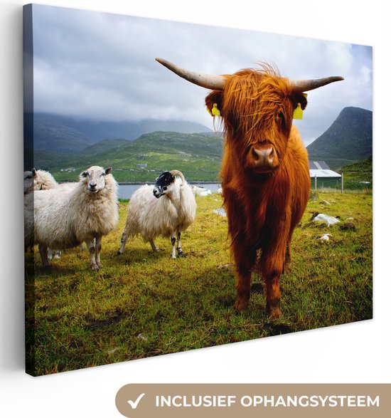 Peintures sur toile - Highlander écossais - Lumière - Mouton - 120x90 cm - Décoration murale