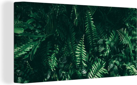 Canvas Schilderij Bladeren - Jungle - Natuur - Tropisch - Planten - 80x40 cm - Wanddecoratie