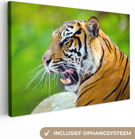 Toile de tigre rugissant 120x80 cm - Tirage photo sur toile (Décoration murale salon / chambre) / Peintures sur toile animaux