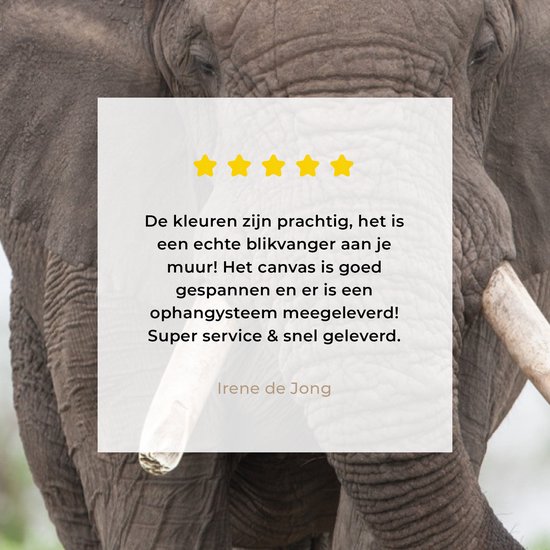 Peintures sur toile - Éléphant venant en sens inverse - 20x30 cm - Décoration murale