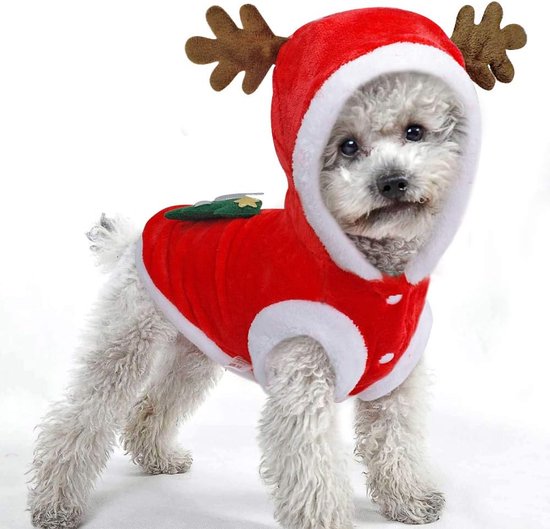 Outgeek Kat Kerst Kostuum Verstelbare Leuke Kerstman Huisdier Cape Kat Kerstman Kleding met Kerstbellen Outfit voor Honden Katten Leuk Geschenk