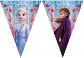 Disney Frozen 2 - Vlaggenlijn - Slinger - 4.3M - enkelzijdig bedrukt - Anna - Elsa - Prinsessen - verjaadag - feest - party