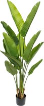 Strelitzia Kunstplant 2 160cm | Grote kunstplant | Kunst strelitzia | Kunstplant voor binnen | Nepplant