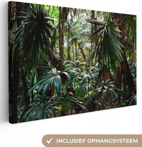 Canvas Schilderij Planten in regenwoud - 60x40 cm - Wanddecoratie