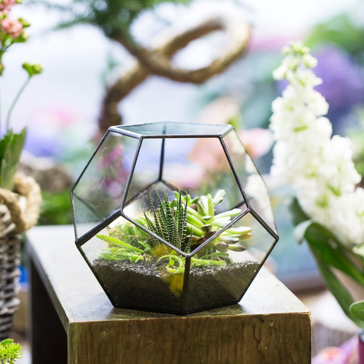 Pot de fleurs fait main en verre dodécaèdre pentagonal transparent,  terrarium