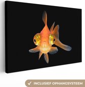 Canvas Schilderij Goudvis - Zeedieren - Ogen - 60x40 cm - Wanddecoratie
