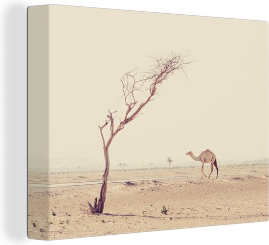 Canvas Schilderij Kameel wandelt over woestijnweg in Dubai - 120x90 cm - Wanddecoratie
