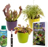 Bol.com vdvelde.com - Vleesetende Planten Set + Boek Watermeters & Gekleurde Potten - Planten soorten: 1x Venus Vliegenval 1x Zo... aanbieding