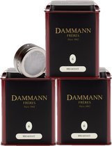 Dammann Frères - Boîte Petit Déjeuner Strong N°6 - 3 x 100 gr. thé noir pour petit-déjeuner avec infuseur gratuit - Ceylan, Darjeeling, Assam - Suffisant pour 150 tasses de thé