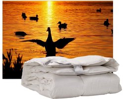 iSleep Donzen Dekbed - Enkel - 100% Dons (Warmteklasse 1) - Tweepersoons - 200x200 cm