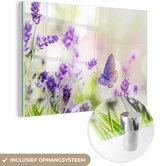 MuchoWow® Glasschilderij 90x60 cm - Schilderij acrylglas - Lavendel - Vlinder - Bloemen - Foto op glas - Schilderijen