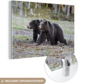 MuchoWow® Glasschilderij 60x40 cm - Schilderij acrylglas - Twee beren in het moerras - Foto op glas - Schilderijen