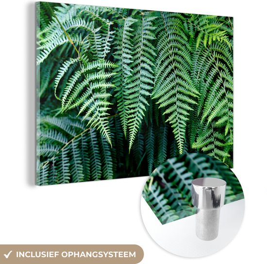 MuchoWow® Peinture sur verre 30x20 cm - Peinture sur verre acrylique - Fougères vertes - Photo sur verre - Peintures