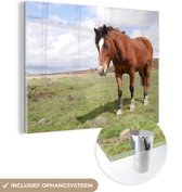 MuchoWow® Glasschilderij 80x60 cm - Schilderij acrylglas - Paard - Licht - Schaduw - Foto op glas - Schilderijen