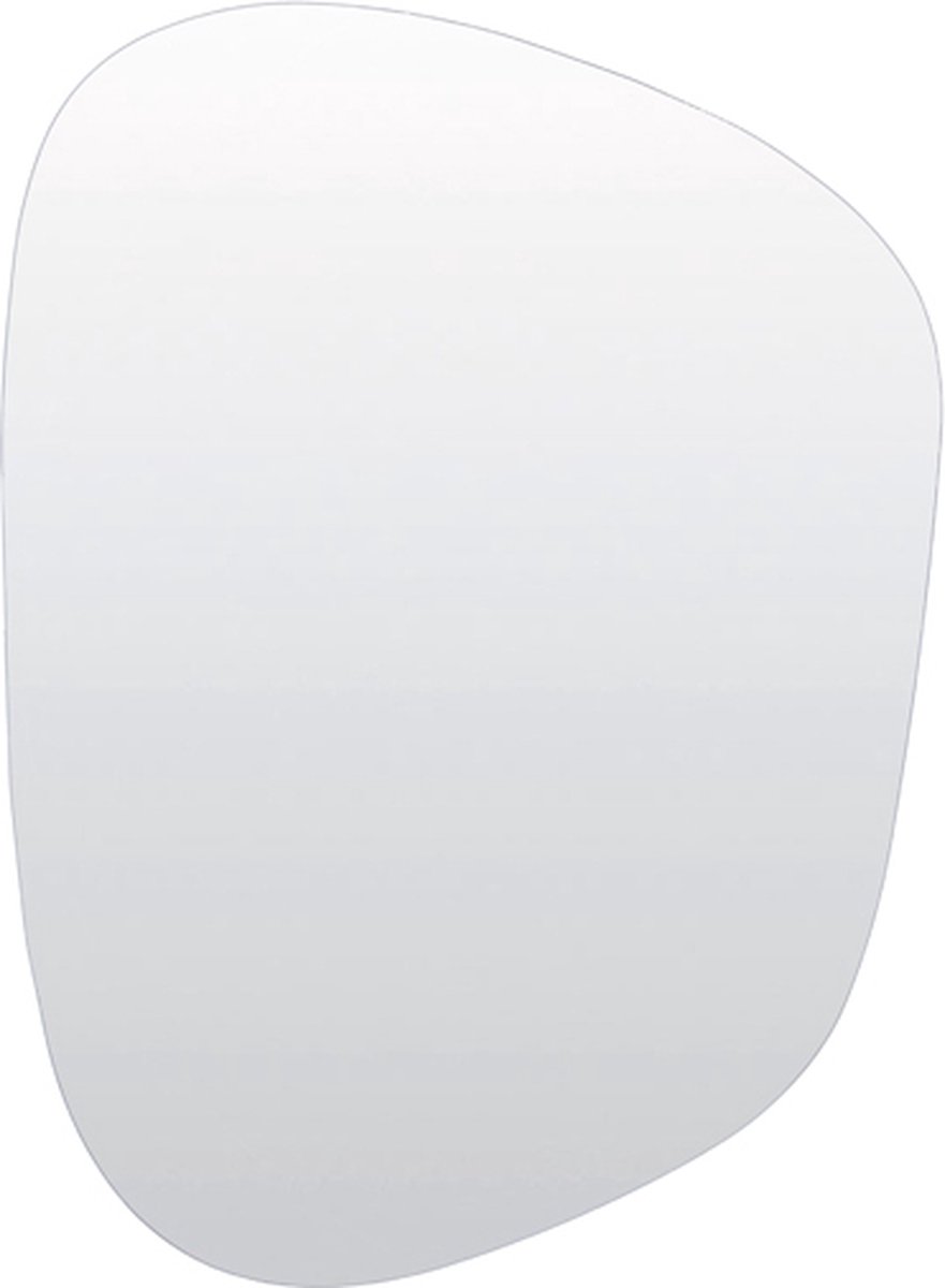 Light&living Spiegel 45x1,5x61 cm ALGEZA helder glas