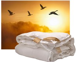 iSleep Gold Donzen 4-seizoenen dekbed - 100% Dons - Ganzendons - Eenpersoons - 140x220 cm