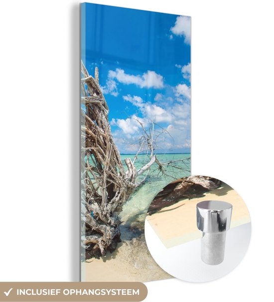 MuchoWow® Glasschilderij 20x40 cm - Schilderij acrylglas - Strand - Takken - Tropisch - Zee - Foto op glas - Schilderijen