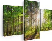 Artaza Canvas Schilderij Drieluik Bos met Zon tussen de Bomen - 90x60 - Foto Op Canvas - Canvas Print