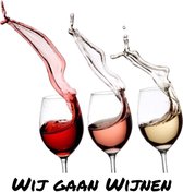 Wijn Glas Wij Gaan Wijnen Full Color Strijk Applicatie Small 9.3 cm / 10 cm / Rood Rosé Wit Zwart