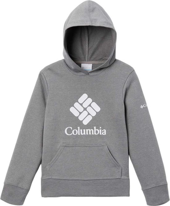 Columbia Trek™ French Terry Hoodie Capuchon Grijs 10-11 Years Jongen