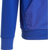 adidas Sportswear Football-Inspired Predator Ritshoodie - Kinderen - Blauw- 176