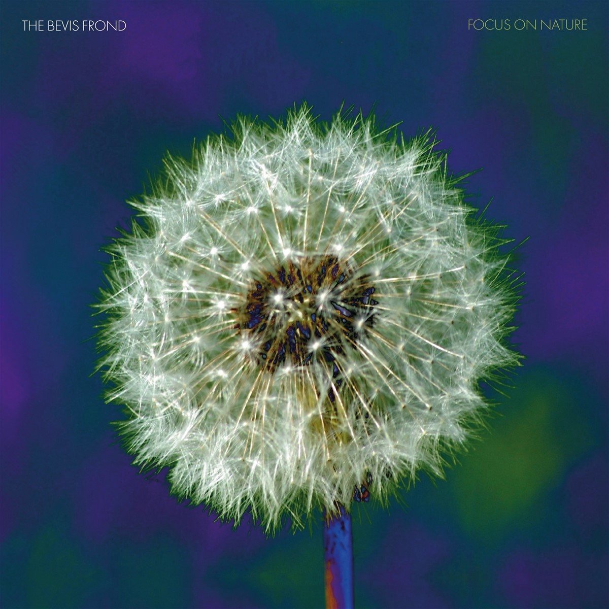 Bevis Frond - Focus On Nature (2 LP) (Coloured Vinyl)