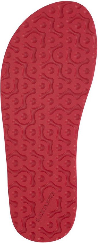 Lizard Trail Sandalen Blauw EU 38 Man